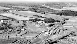Egtved - Schmidt Nissen Jøkers dambrug i Spjarup ca. 1950, nu nedlagt.