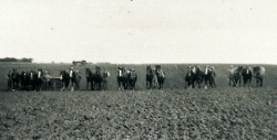 Gerning - Marken sås til på Bidstrup 1932