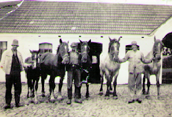 Vollund - Gårdens heste til parade 1946